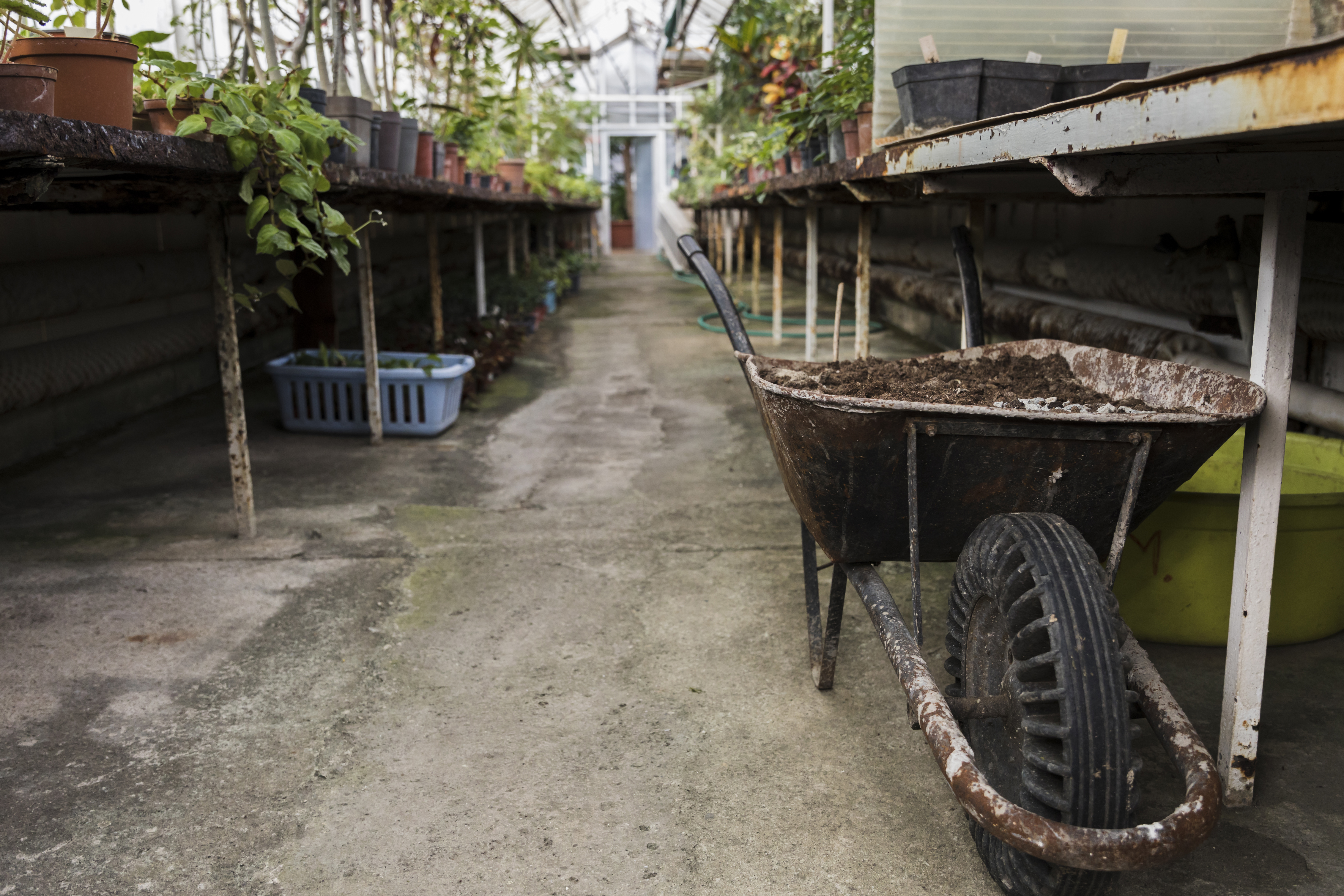 The Smart Homeowner’s Guide to Septic Inspections: What You Need to Know Before Problems Arise header image.