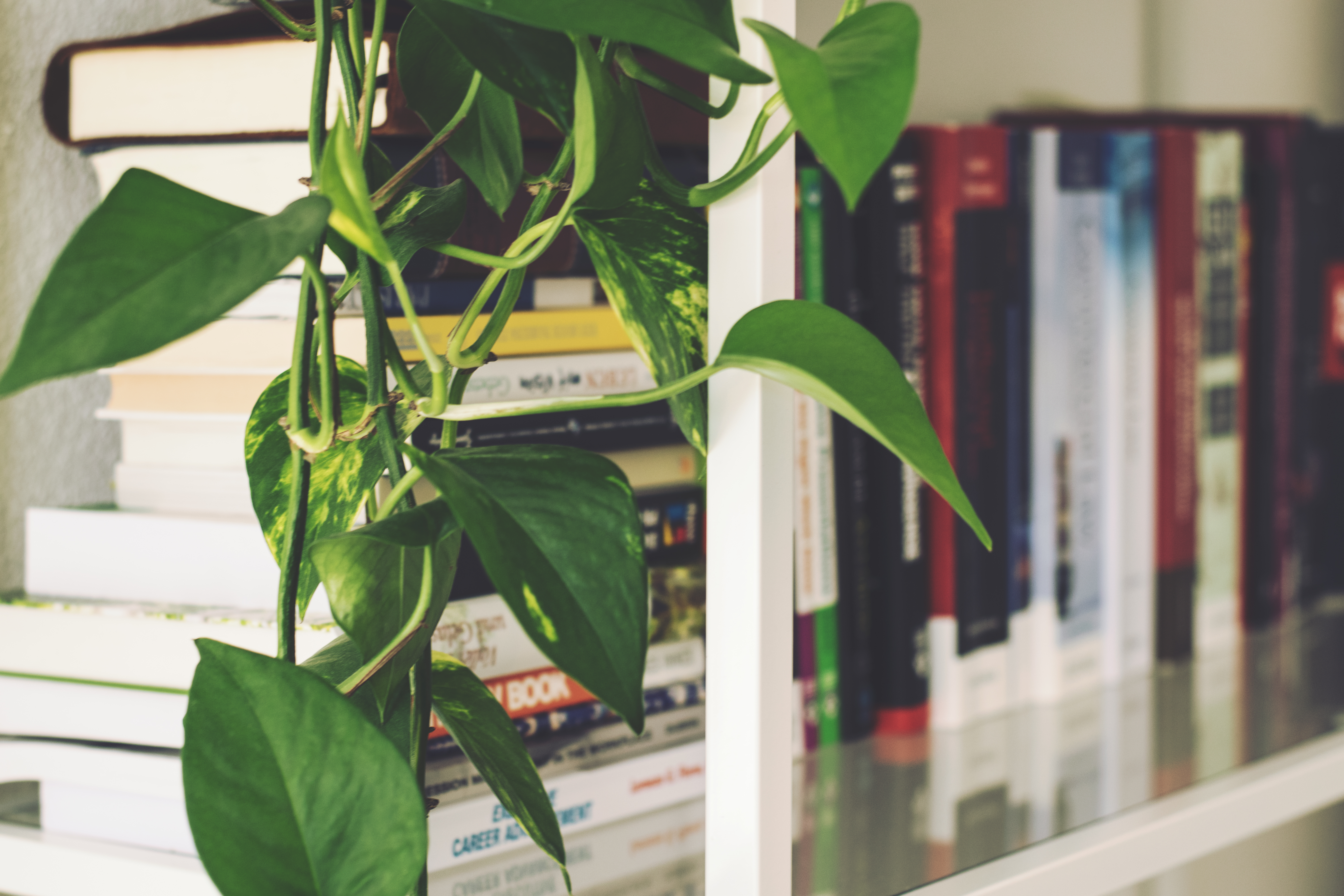 How to Declutter Your Home This Winter header image.