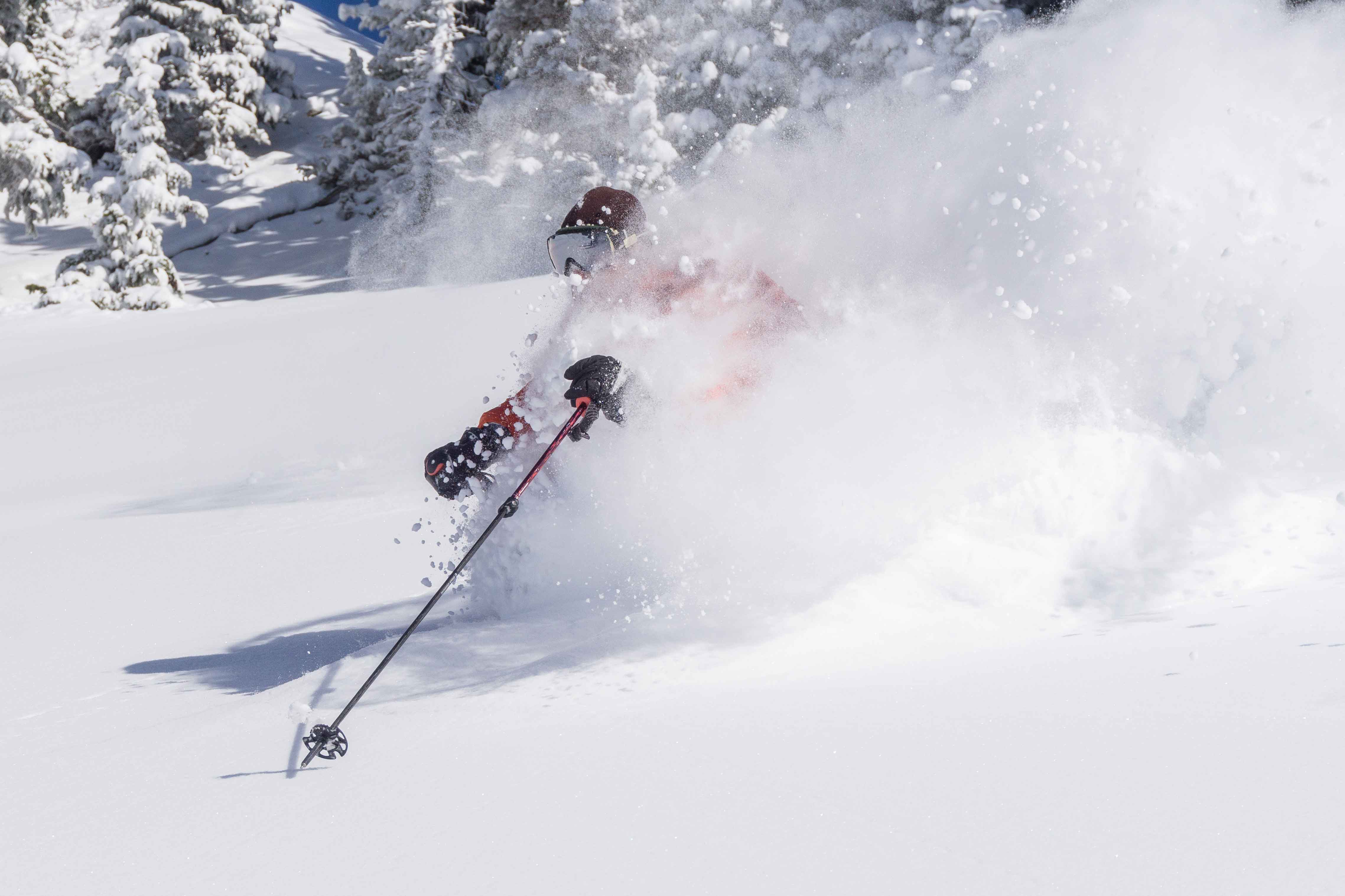 Janaury 2025 Telluride Market Report header image.