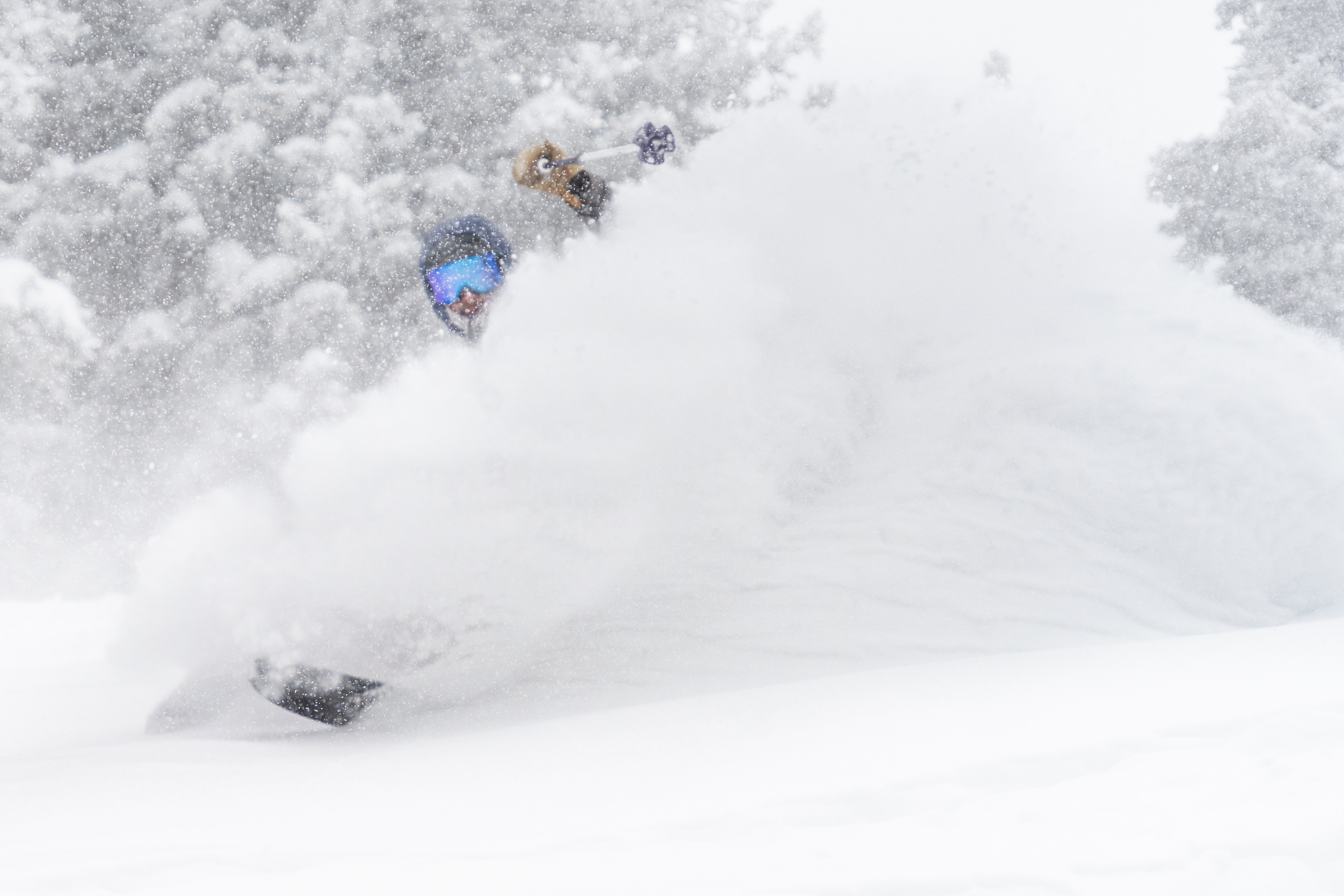 February 2025 Telluride Market Report header image.