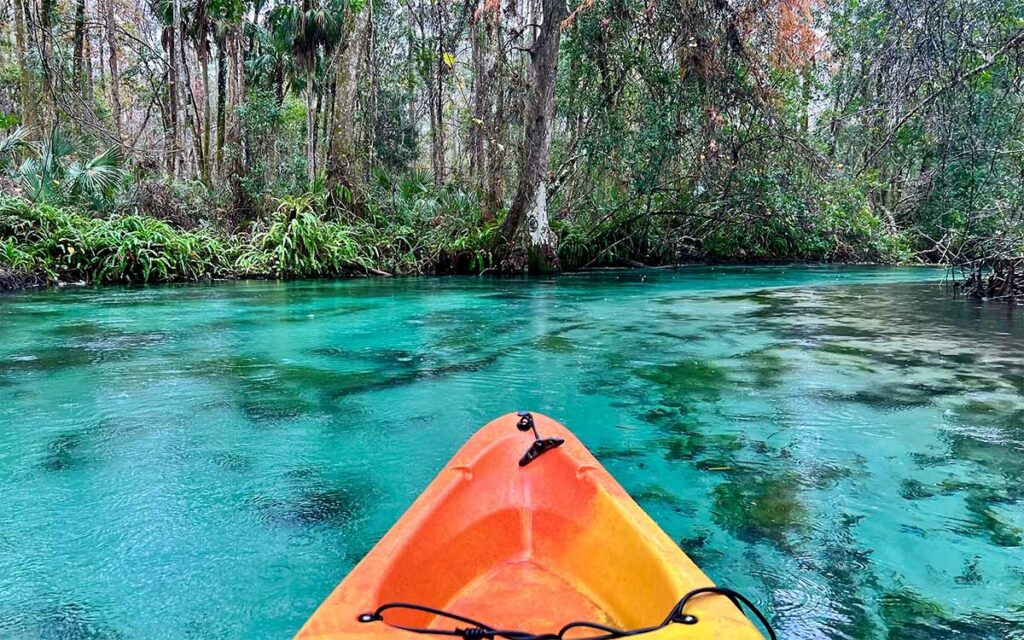 Top 5 Things to Do in Volusia County This Summer header image.