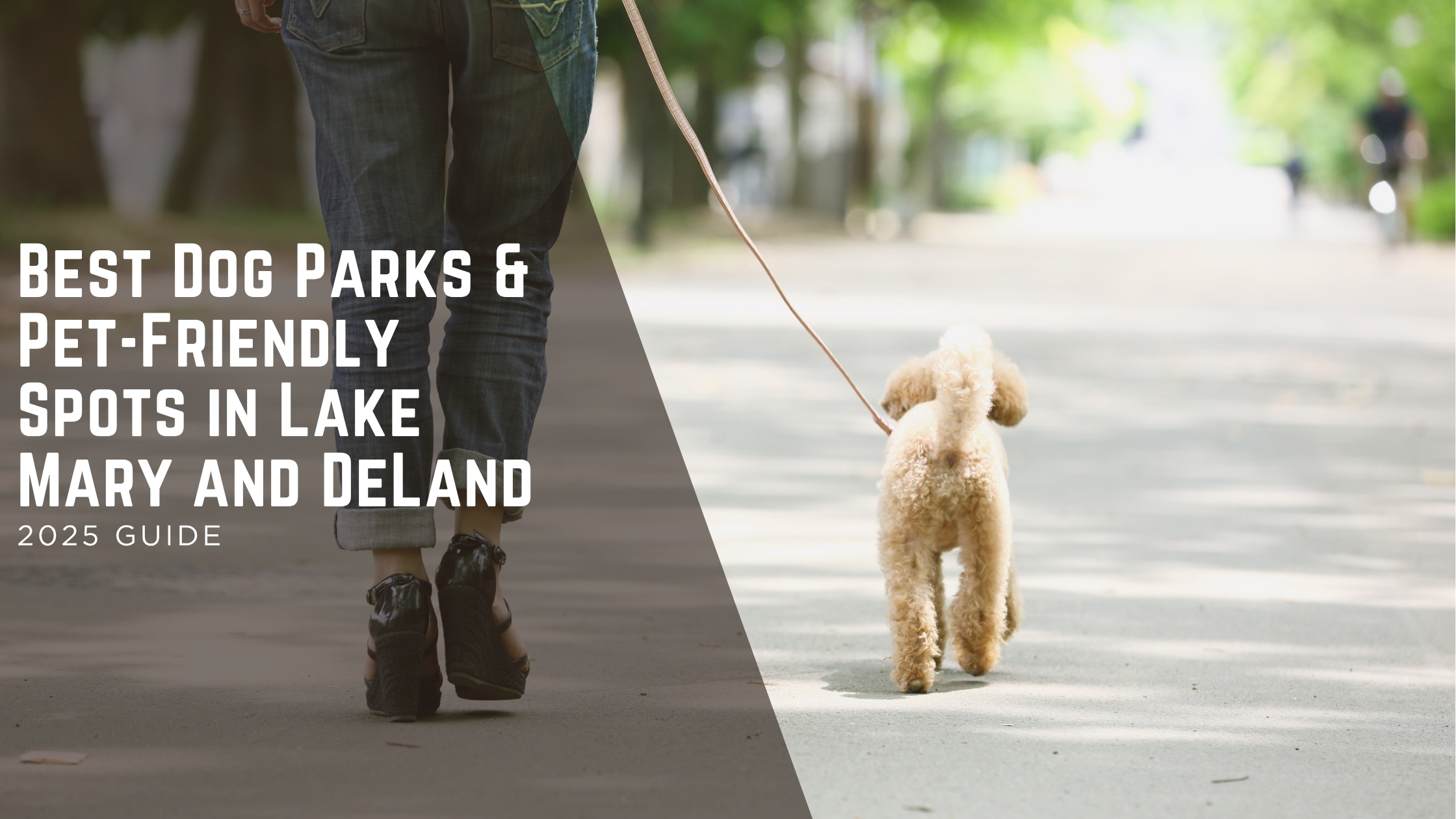 Best Dog Parks & Pet-Friendly Spots in Lake Mary and DeLand header image.