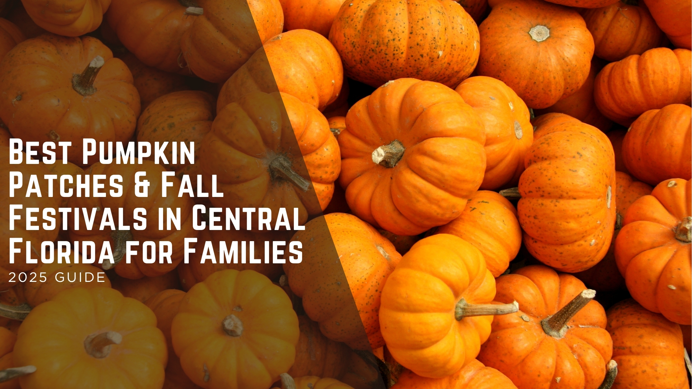 Best Pumpkin Patches & Fall Festivals in Central Florida for Families header image.