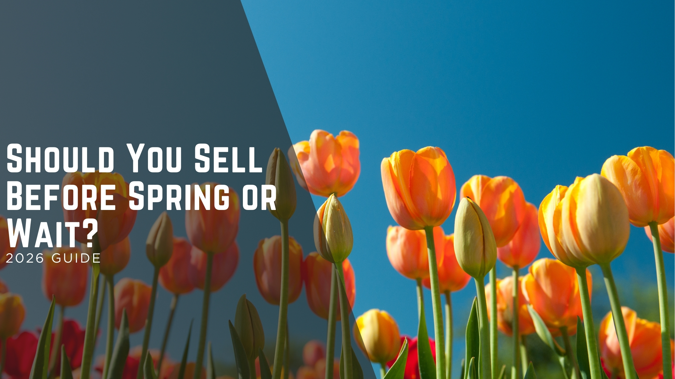 Should You Sell Before Spring or Wait? A Florida Seller Breakdown header image.