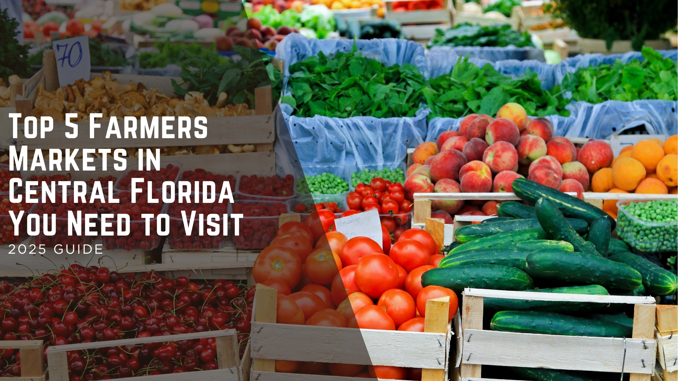 Top 5 Farmers Markets in Central Florida You Need to Visit header image.