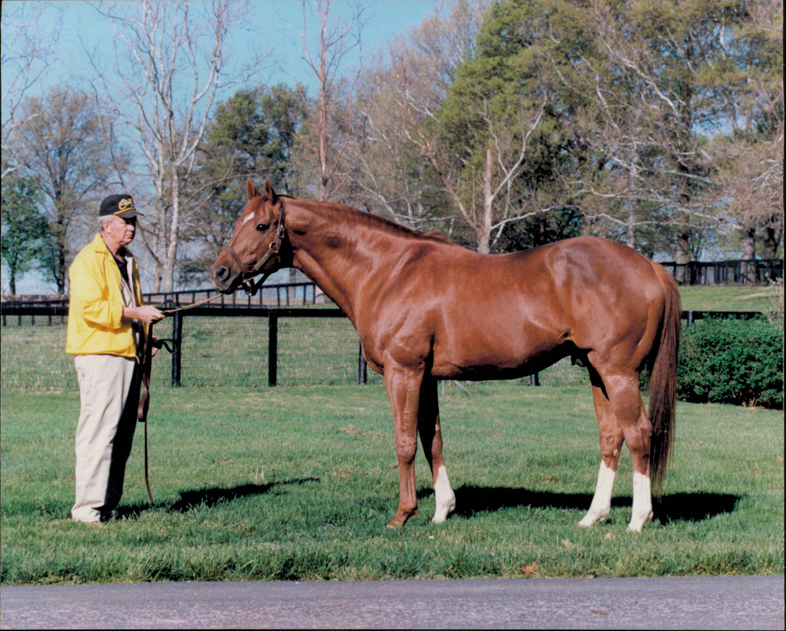Secretariat and Ron Turcotte crossing the finish line at the 1973 Preakness Stakes; photograph by George H. Cook, public domain
