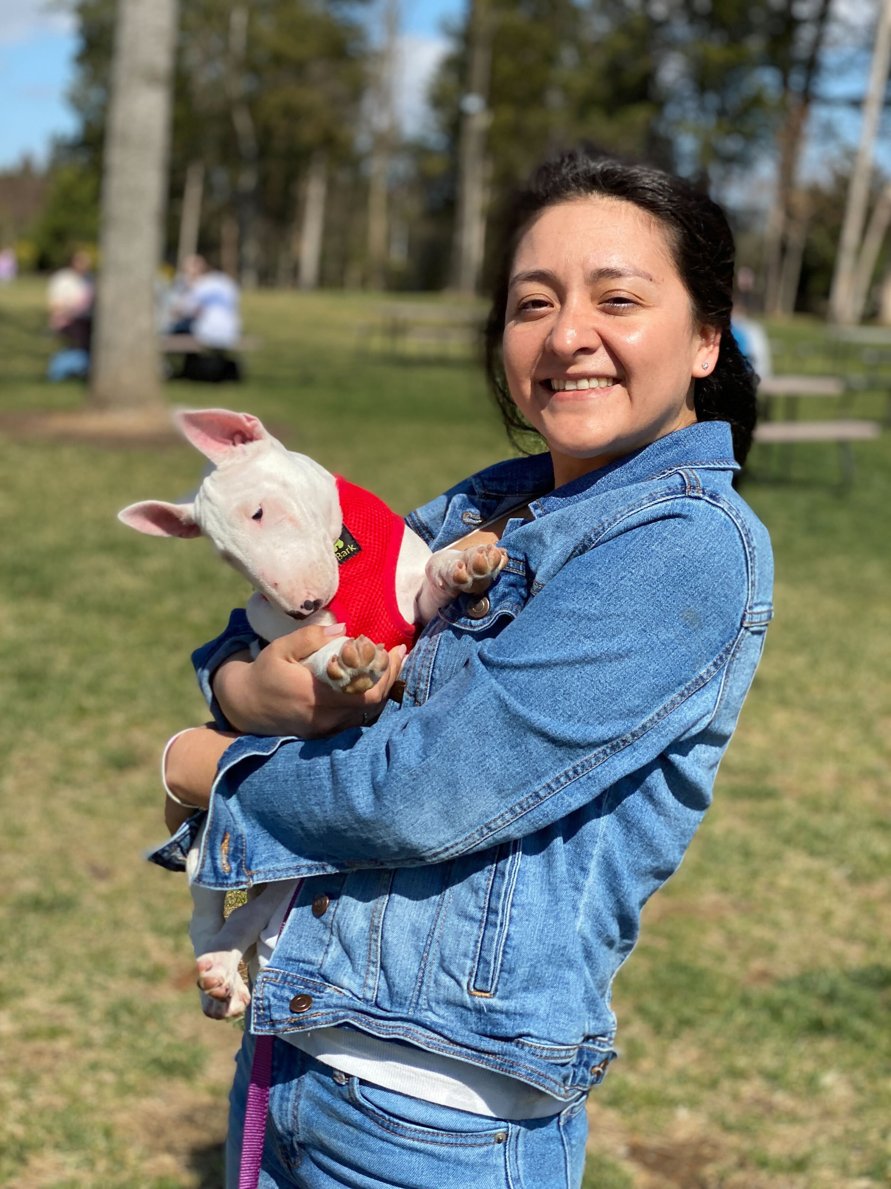 Smiling woman with a white bull terrier puppy enjoying the dog-friendly atmosphere at The Farm Brewery at Broad Run in Northern Virginia during summer.