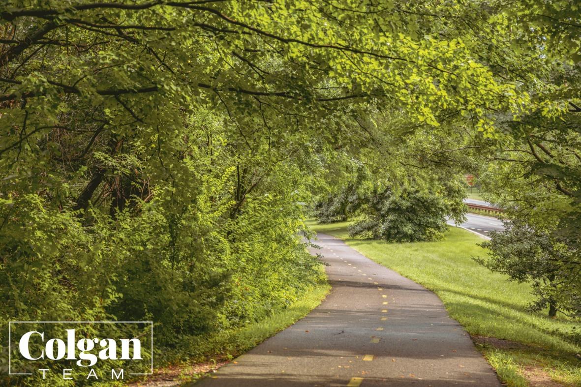 Tree-lined section of the Mount Vernon Trail in Arlington, Virginia
