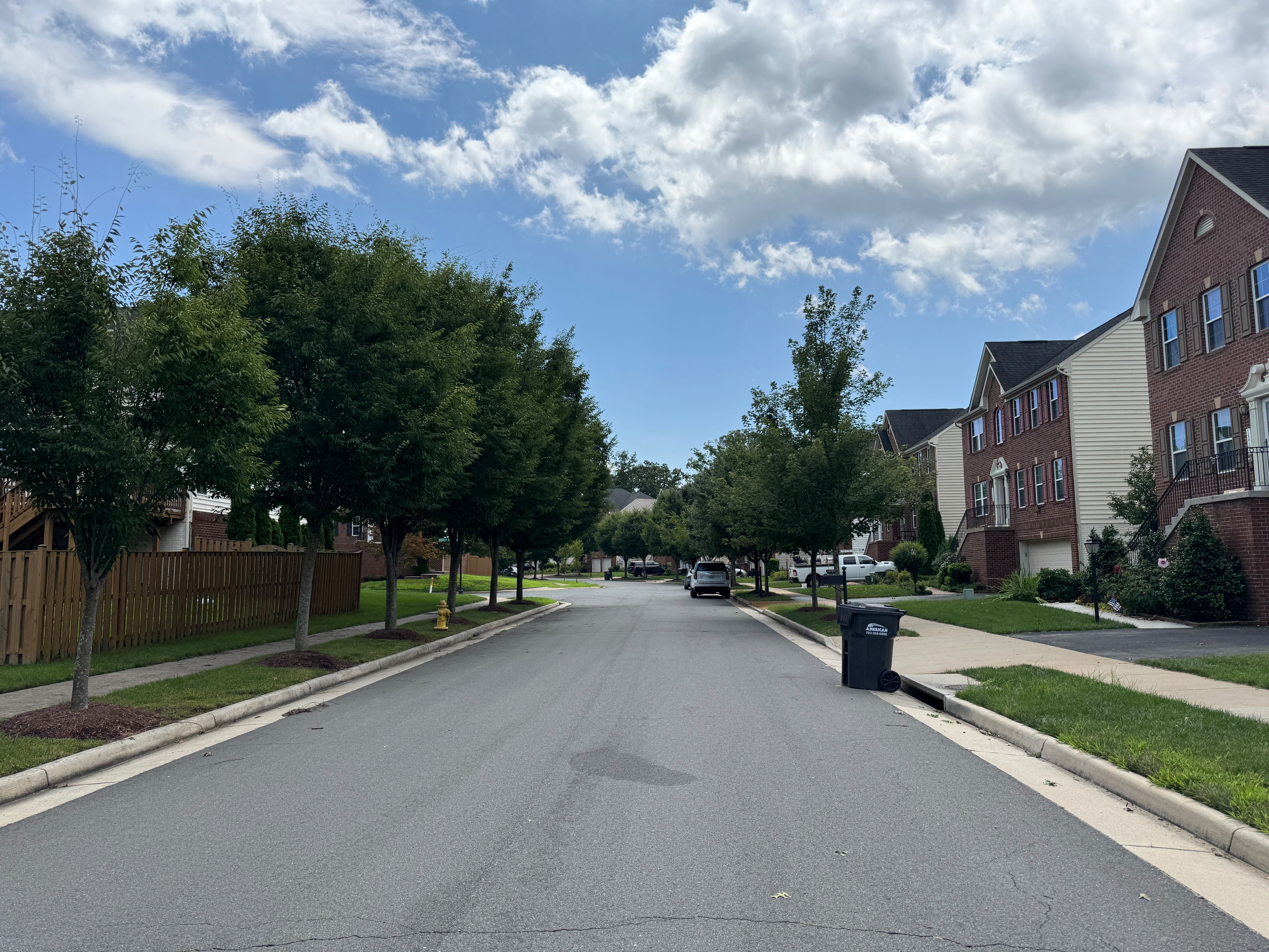 Townhomes and a tree-lined street in Wentworth Green, Gainesville, Virginia