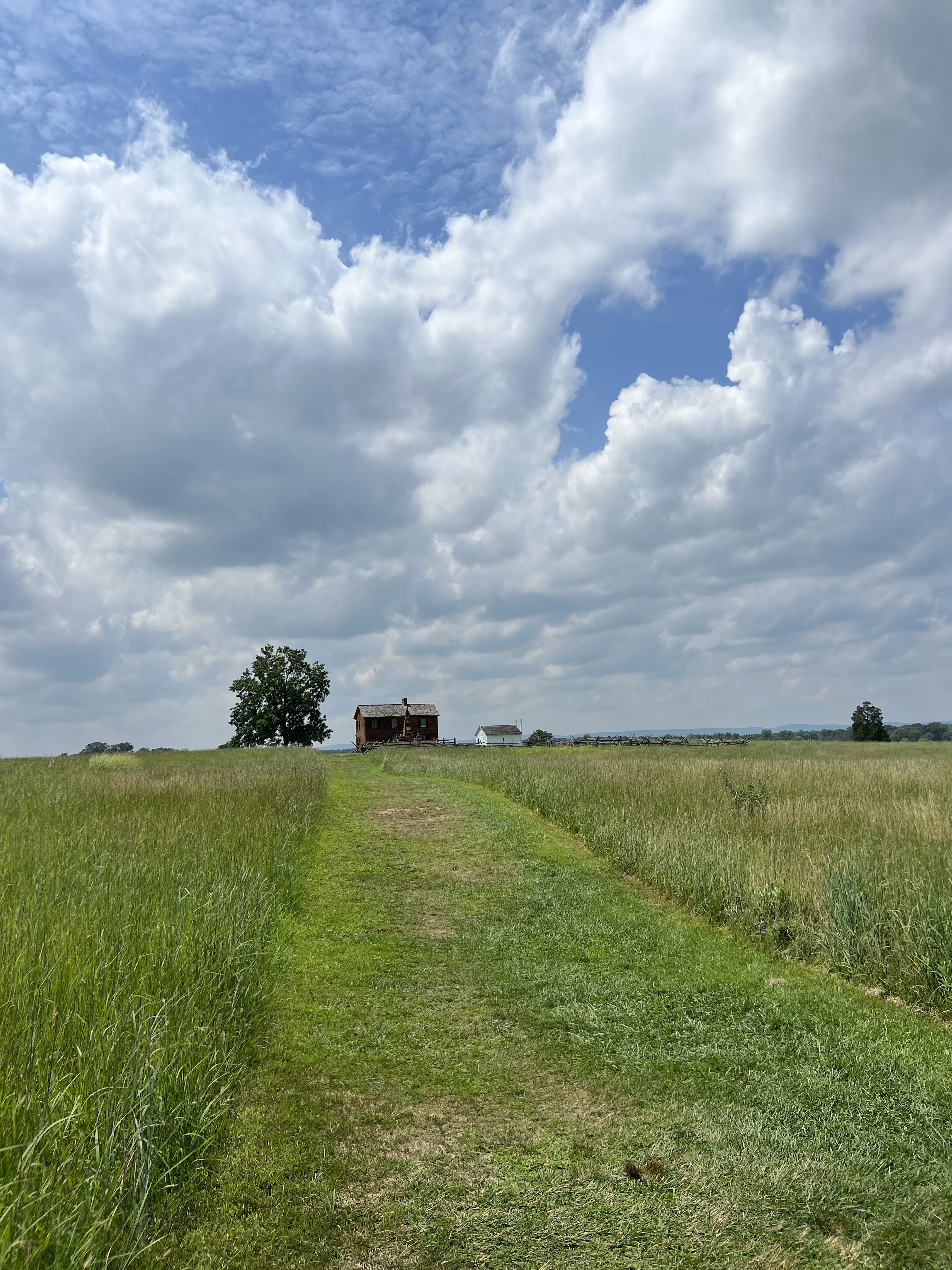 A scenic walking path through the grassy fields of Manassas battlefield, leading to the Henry House on the horizon.