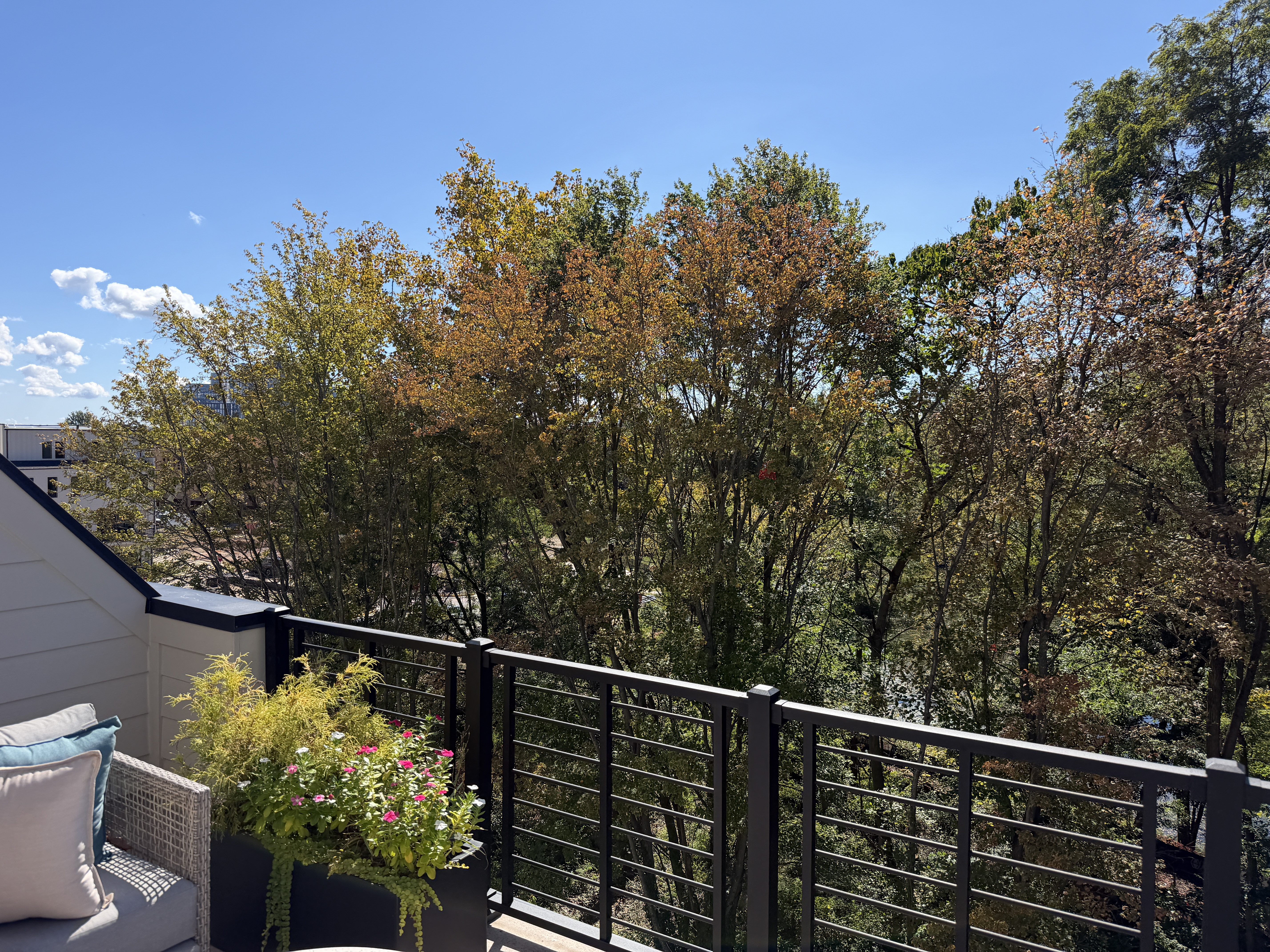 View of trees from the Sunset Station model terrace