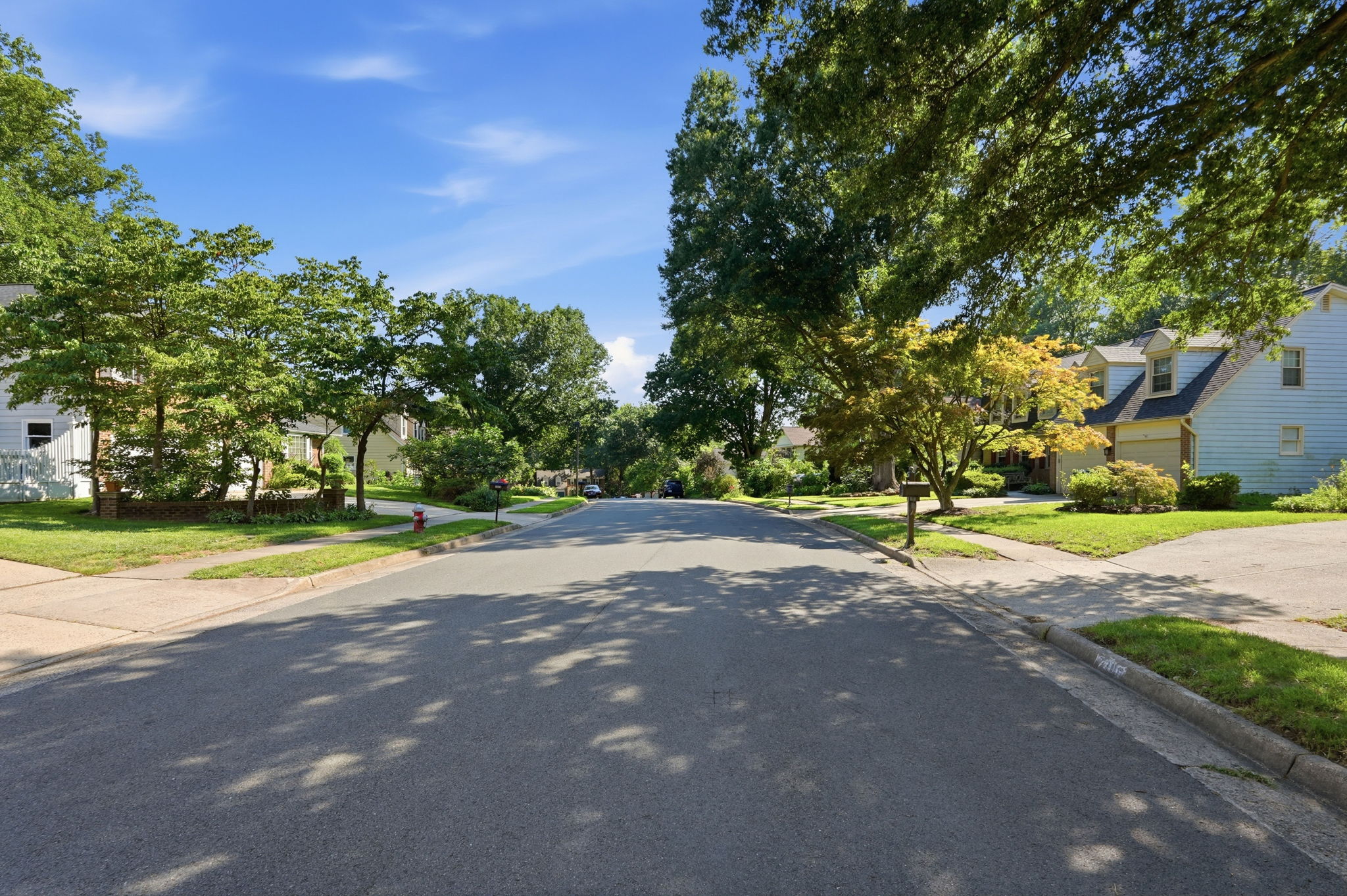 Tree-lined residential street in Walnut Knoll, Springfield, Virginia, from the Colgan Team photo library.