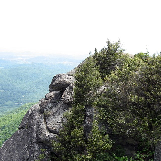 A scenic view from a rocky overlook in Shenandoah National Park, with lush green trees and the Blue Ridge Mountains visible in the distance on a hazy day.