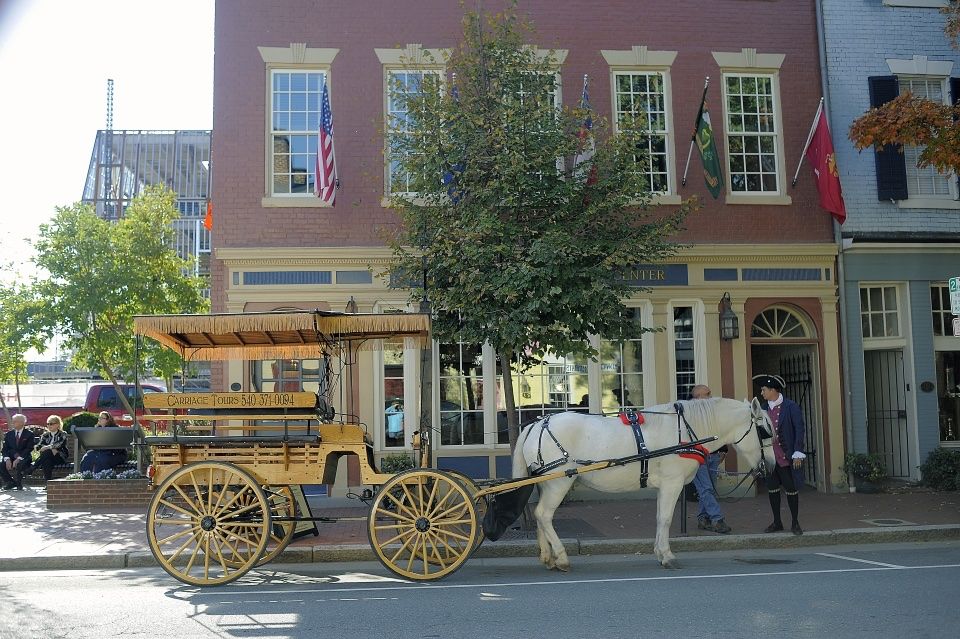 Top 7 places to visit in Fredericksburg, VA for history, nature, and local charm.