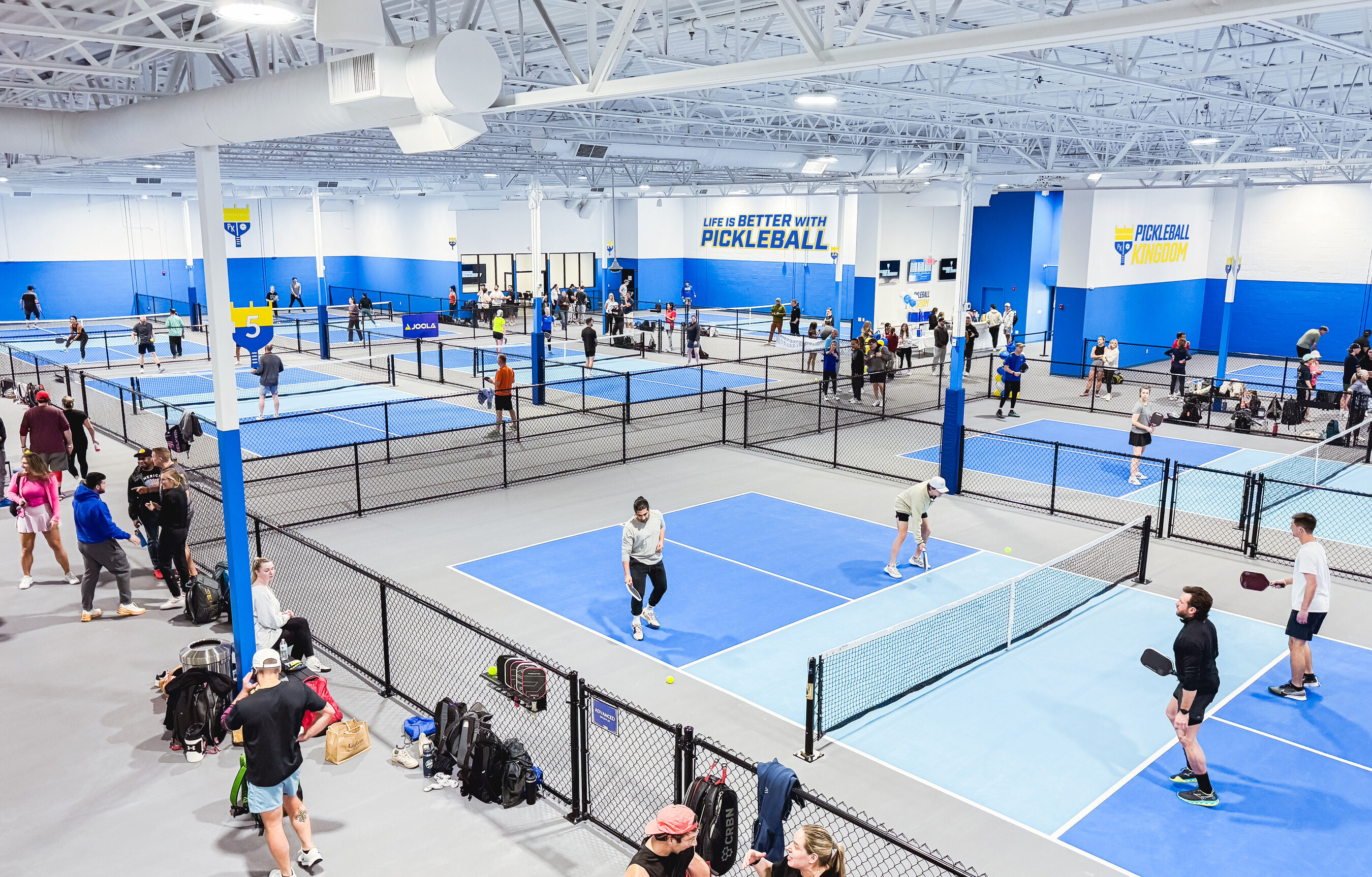 Photo of a Pickleball kingdom
