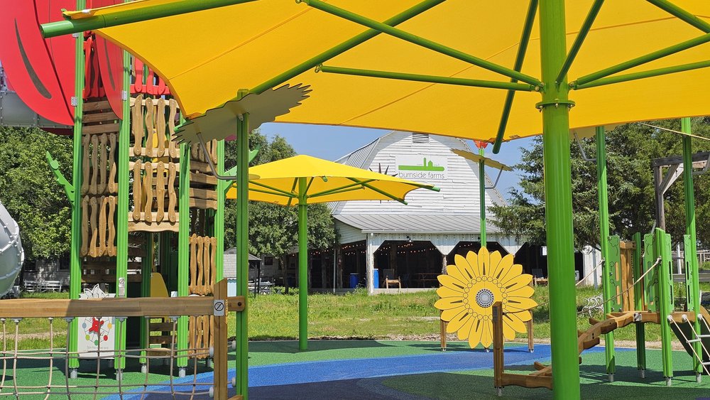 The new sunflower-themed playground at Burnside Farms, with yellow shade canopies and the white barn in the background.
