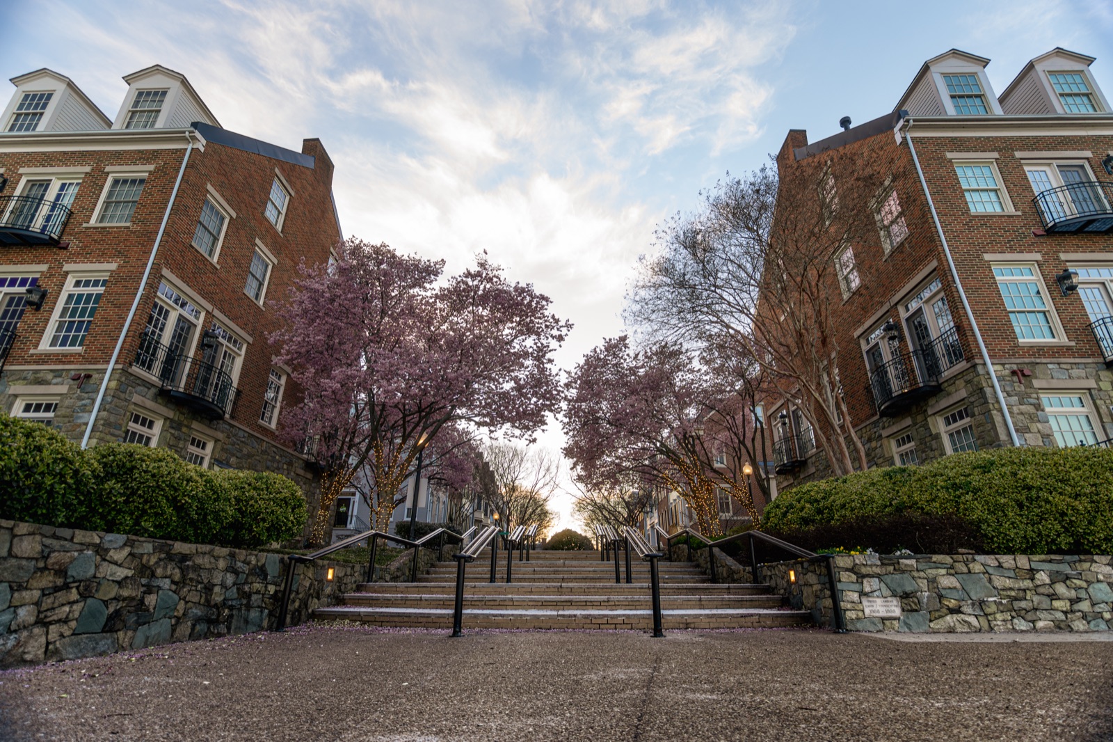 Flowering trees and steps between brick townhomes at Ford's Landing in Alexandria