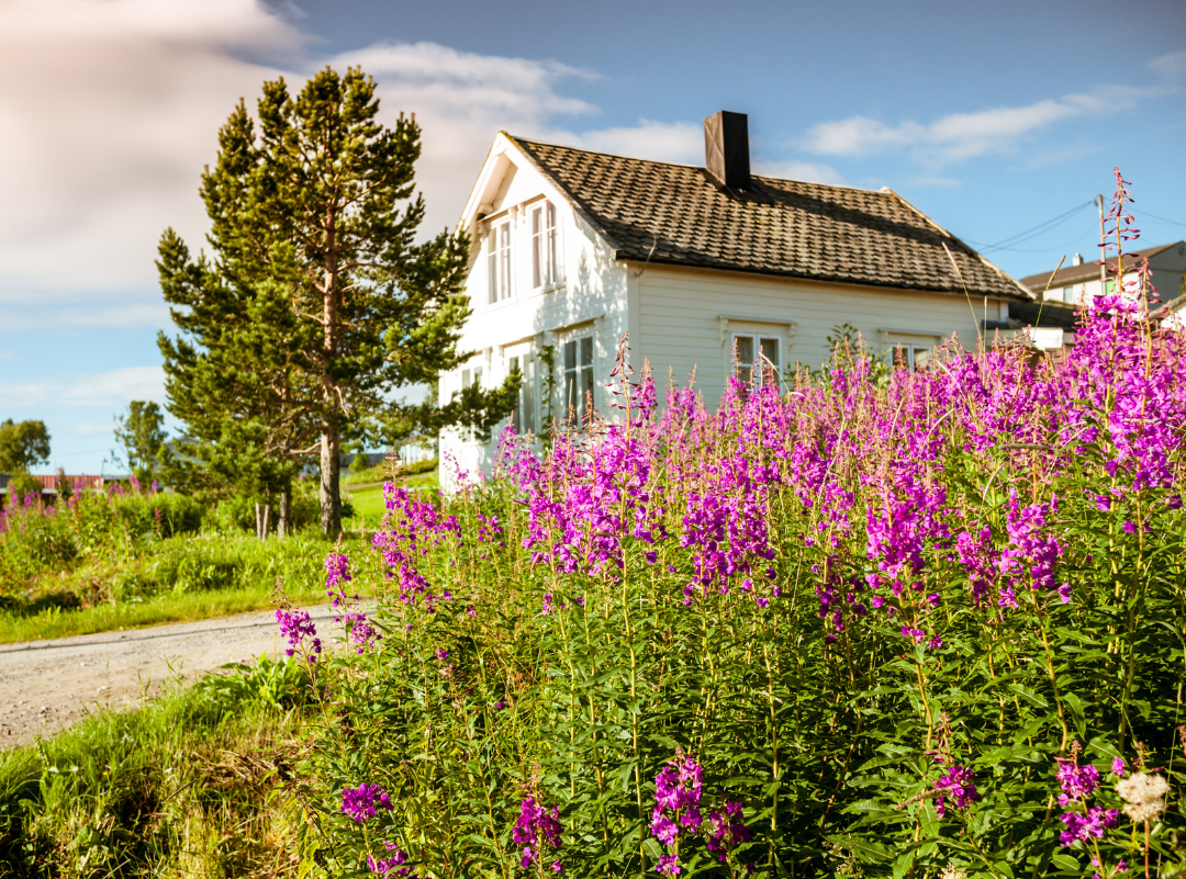 Buying in the Spring vs. Summer