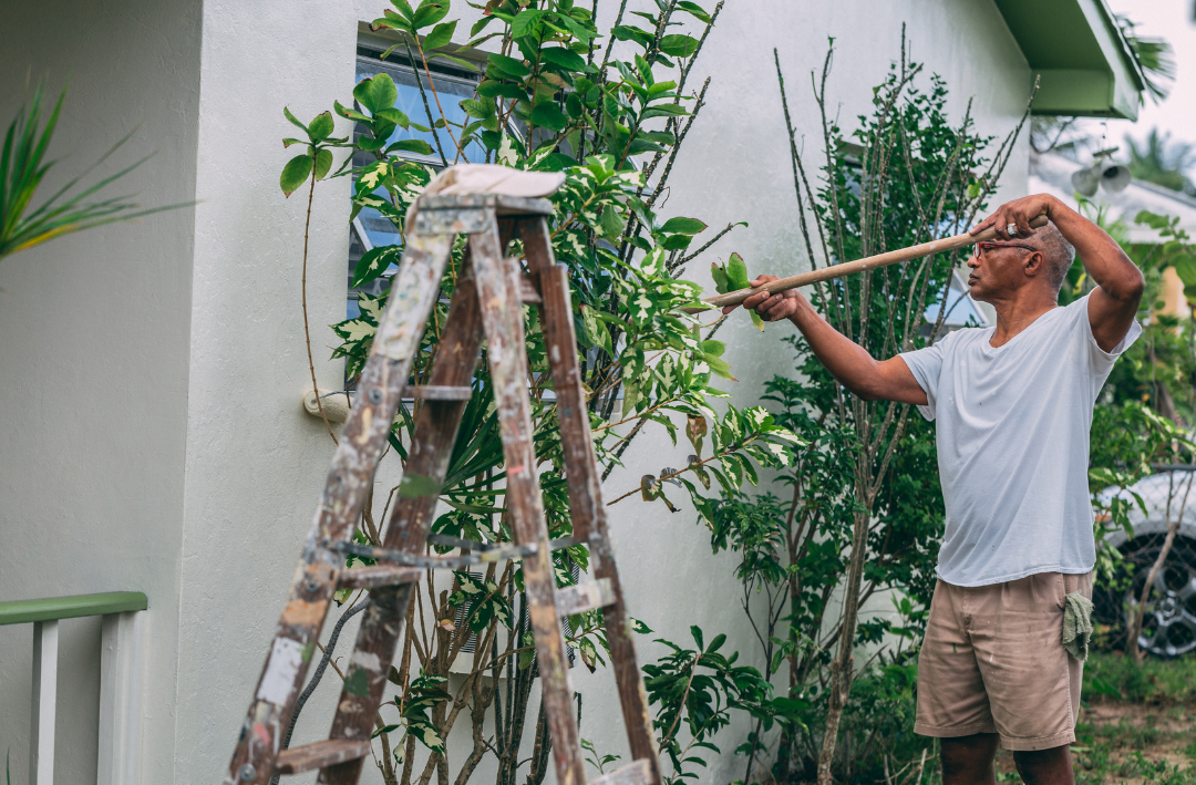 Backyard Upgrades to attract Summer Buyers 