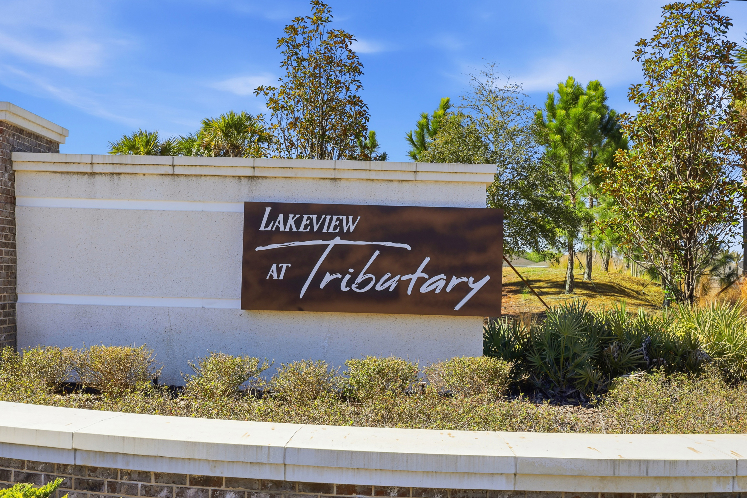 Lakeview at Tributary 55+ Active Adult Community