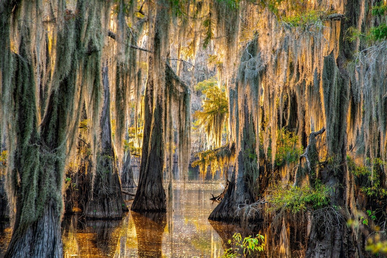 October Magic on the Coast: Halloween Fun and Fall Adventures in the Cape Fear Region header image.