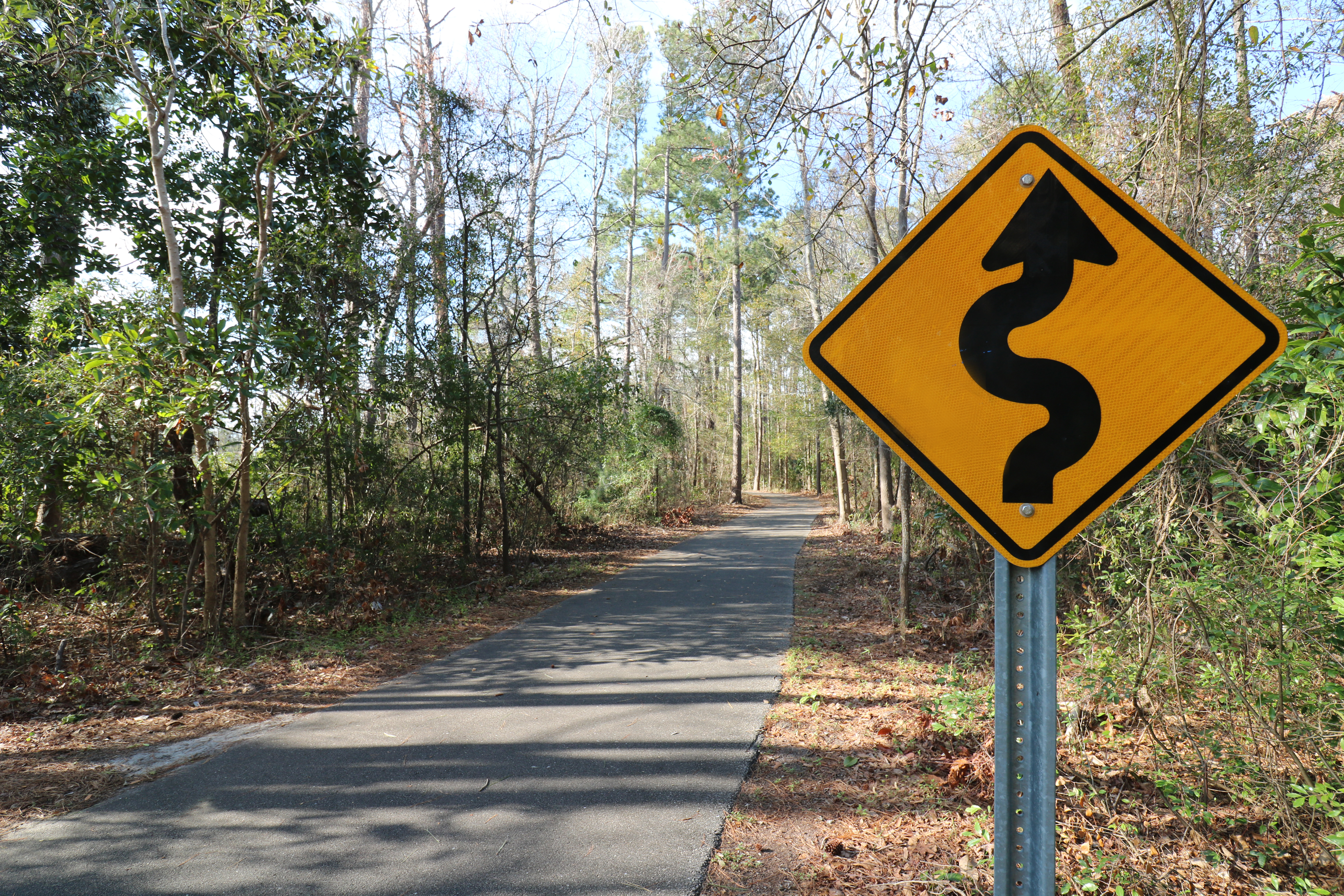 Around the Azalea Coast | June 2023 header image.