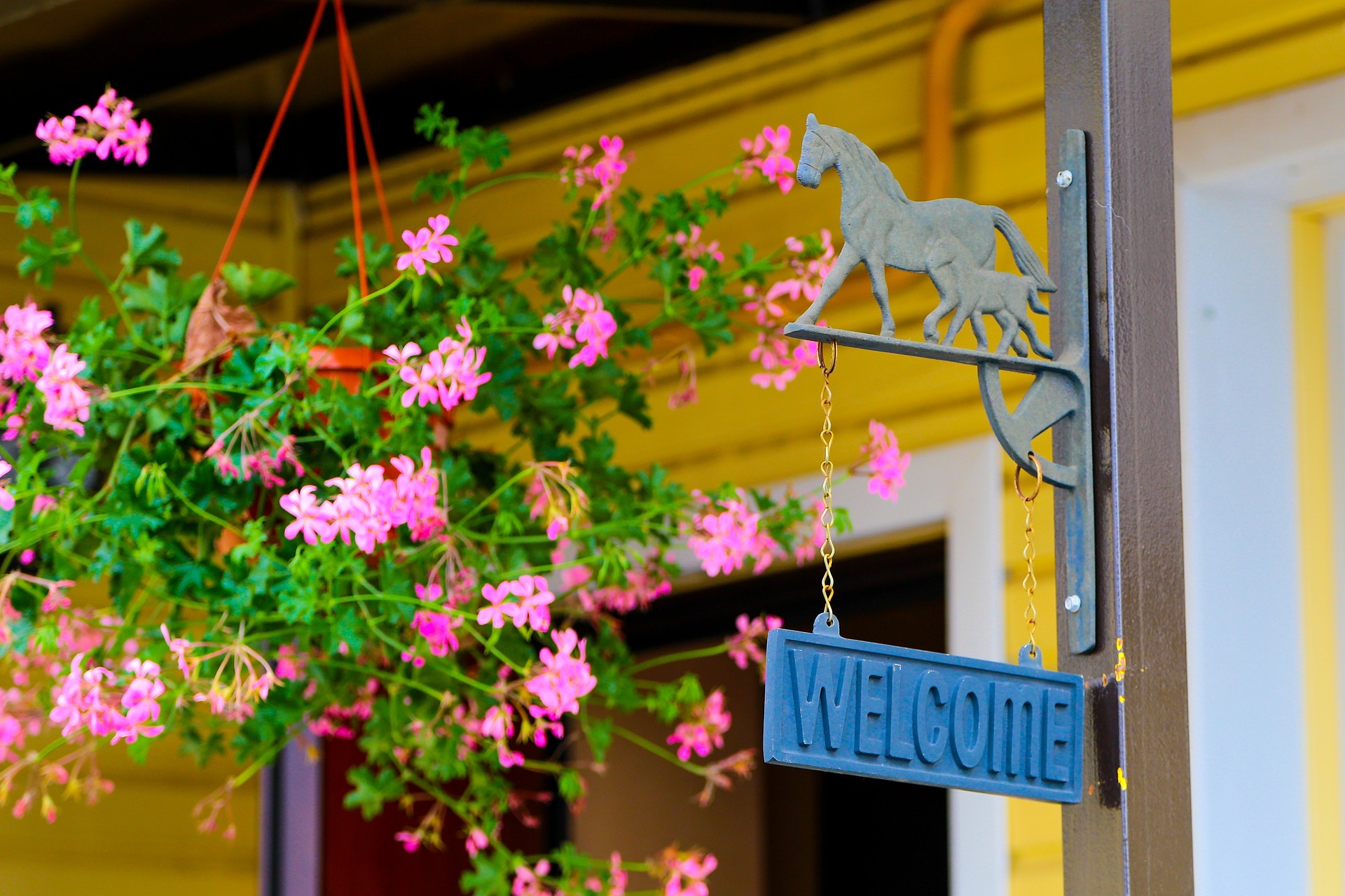 What to Look for During an Open House header image.