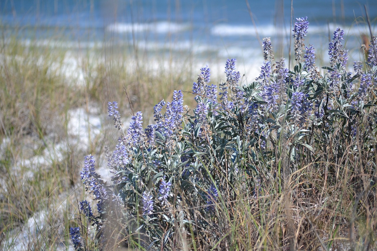 Around the Azalea Coast | May 2024 header image.