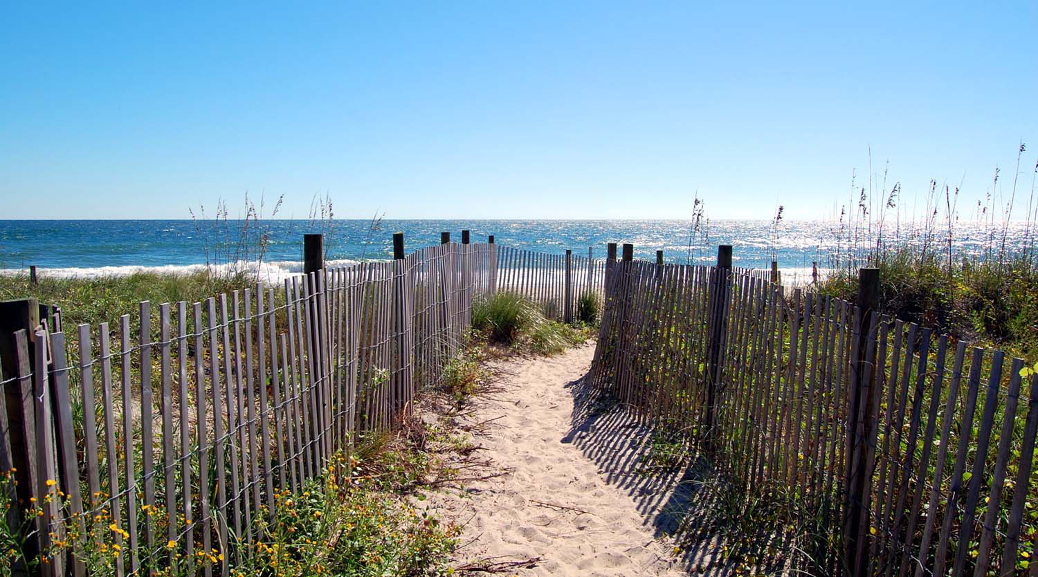 Visiting and Living in Southeastern Coastal North Carolina header image.