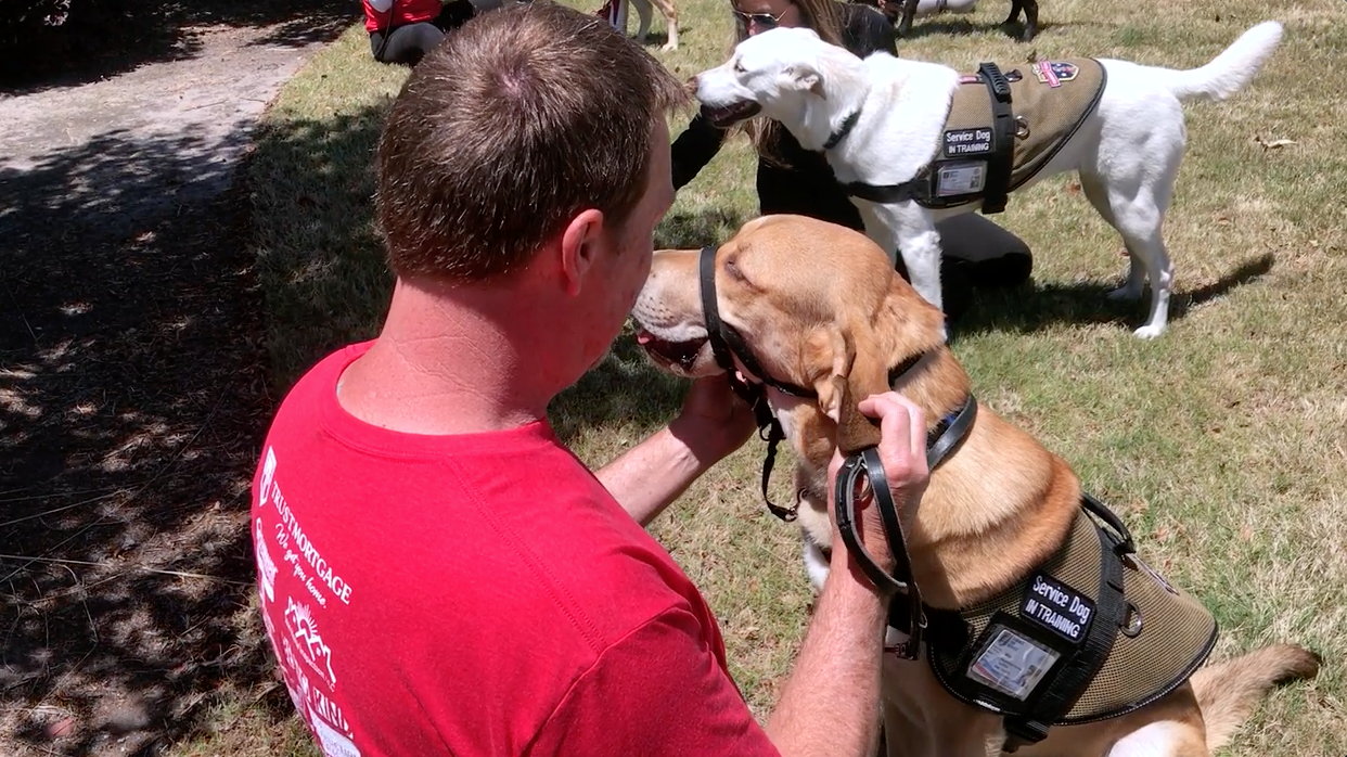 Keller Williams RED Day 2021 | KBT Realty Group at Canines for Service header image.