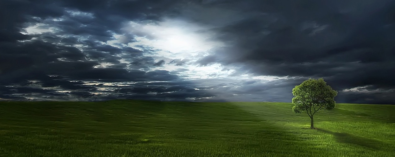 Hurricane Florence: Amidst Downed Trees and Flood Waters, Self-Care Is Critical Too header image.