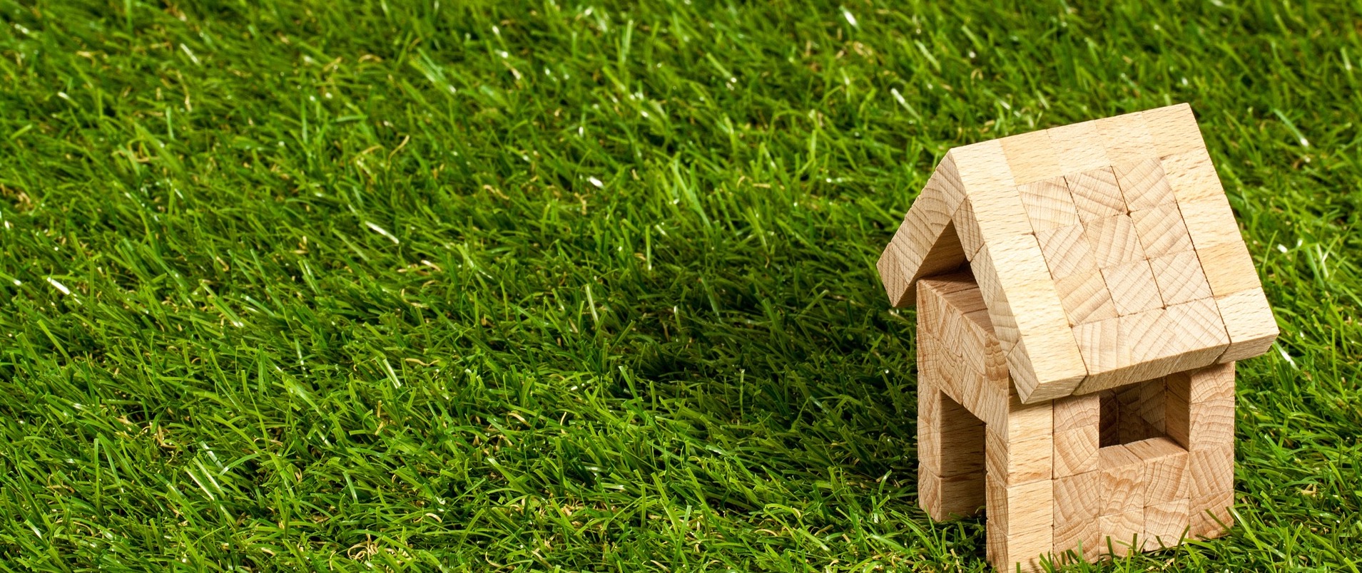 6 Tips for a Luscious North Carolina Lawn header image.