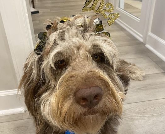 Around the Azalea Coast | January 2024 header image.