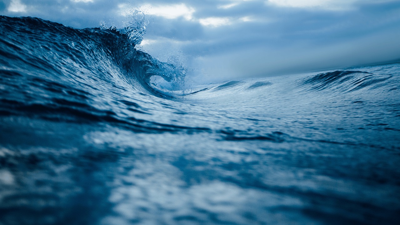 Around the Azalea Coast | August 2025 header image.