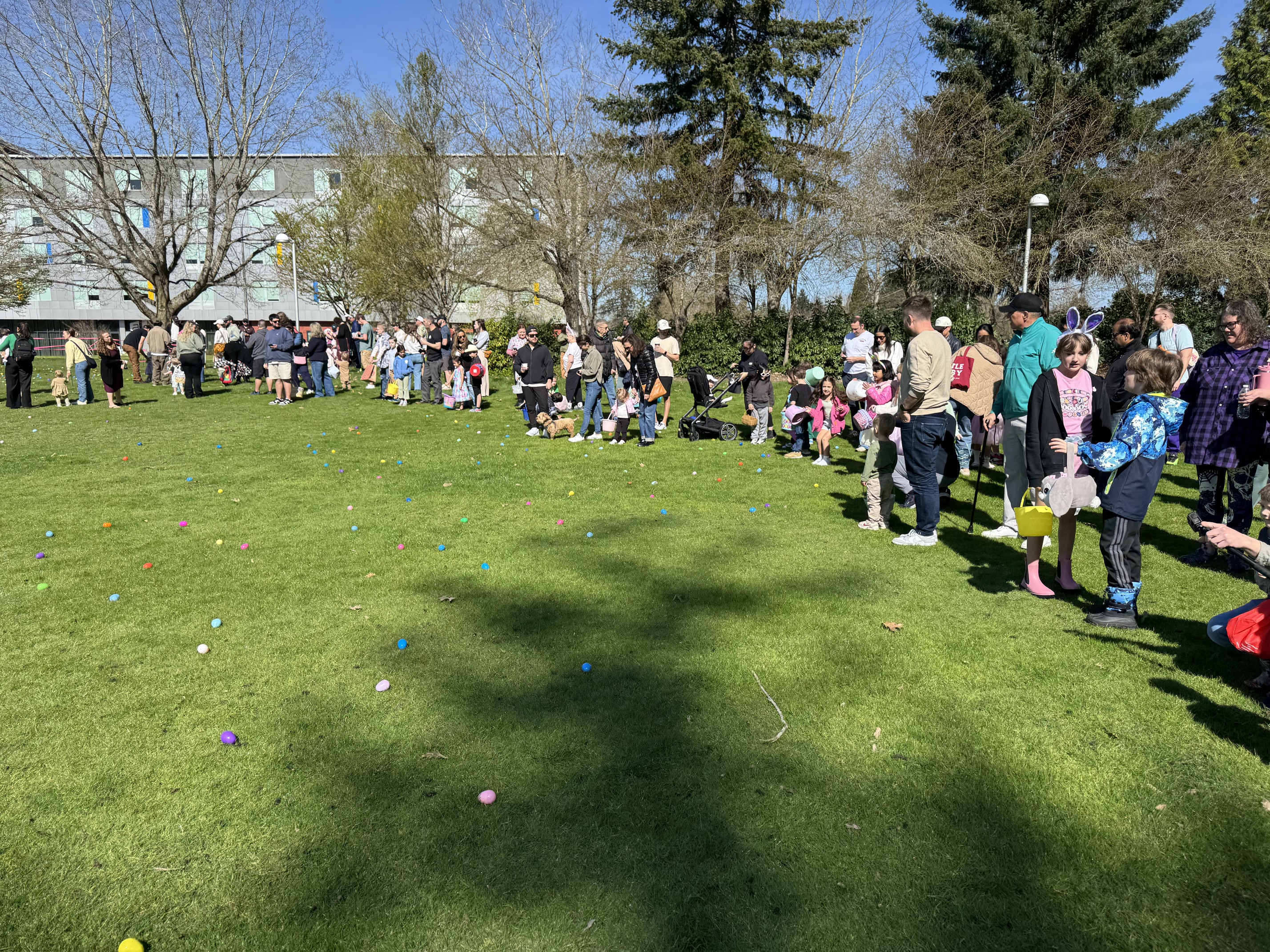 Egg Hunt 2026 header image.