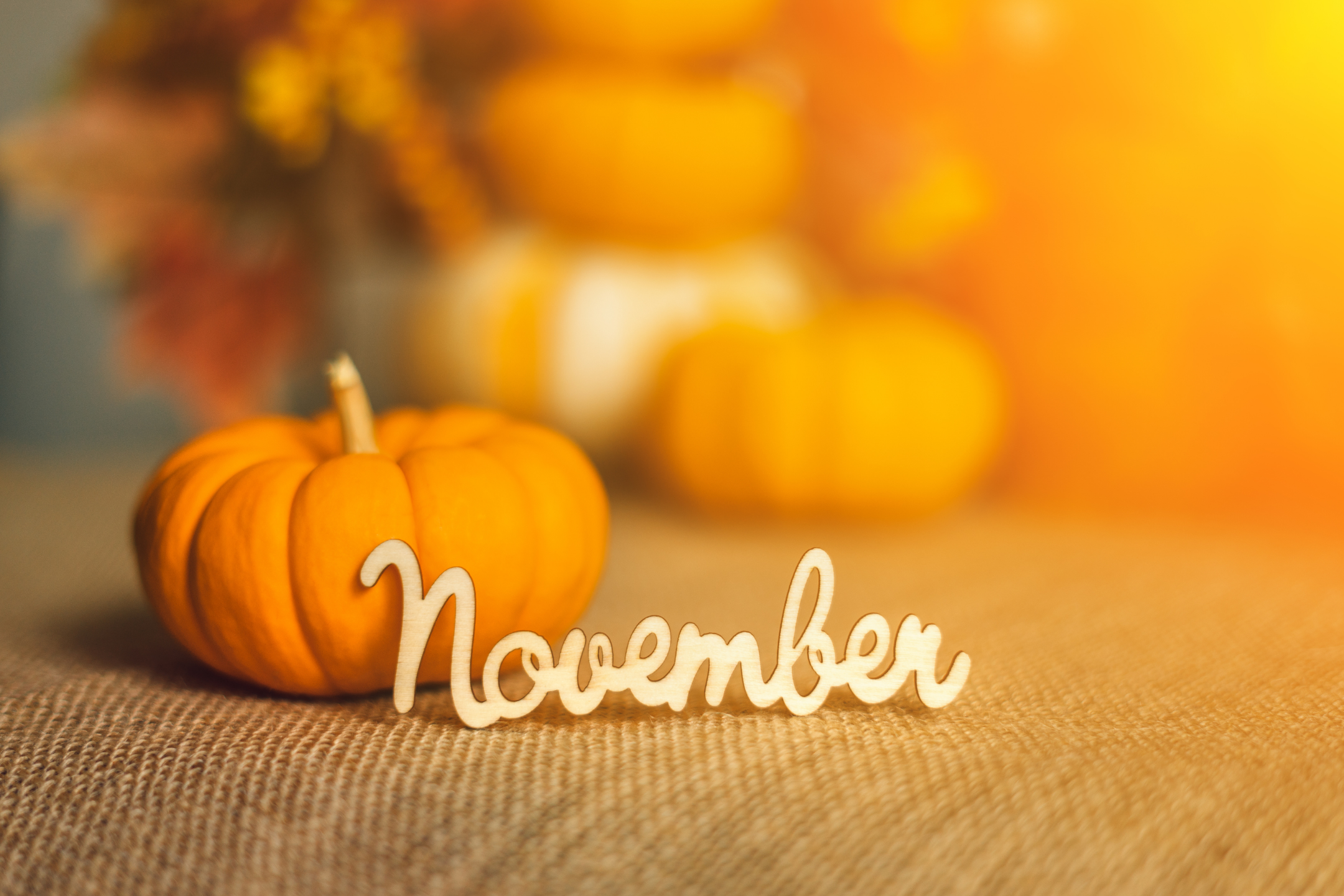 Homebuying and Home Selling on November in Coral Springs