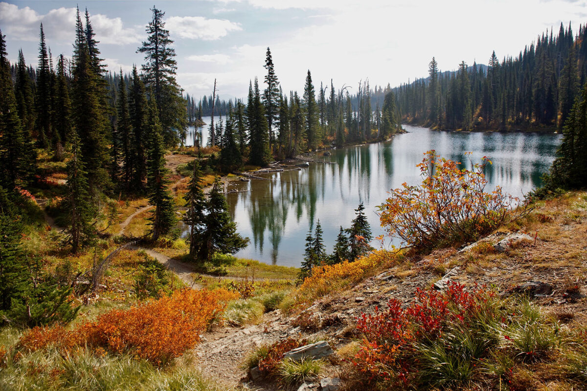 🍂 Fall Is Calling: Preparing Your Flathead Valley Home to Sell header image.