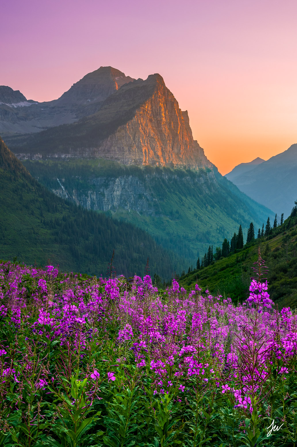 Your Local Guide to Summer in the Flathead Valley header image.