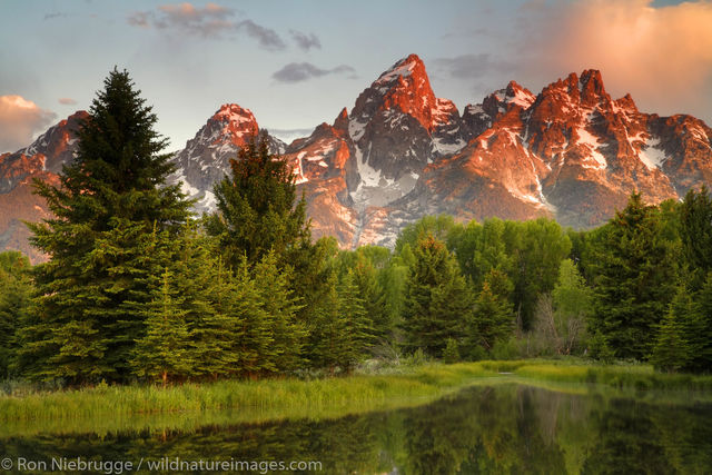 Trust the Journey: Finding Peace and Promise in Each Day header image.