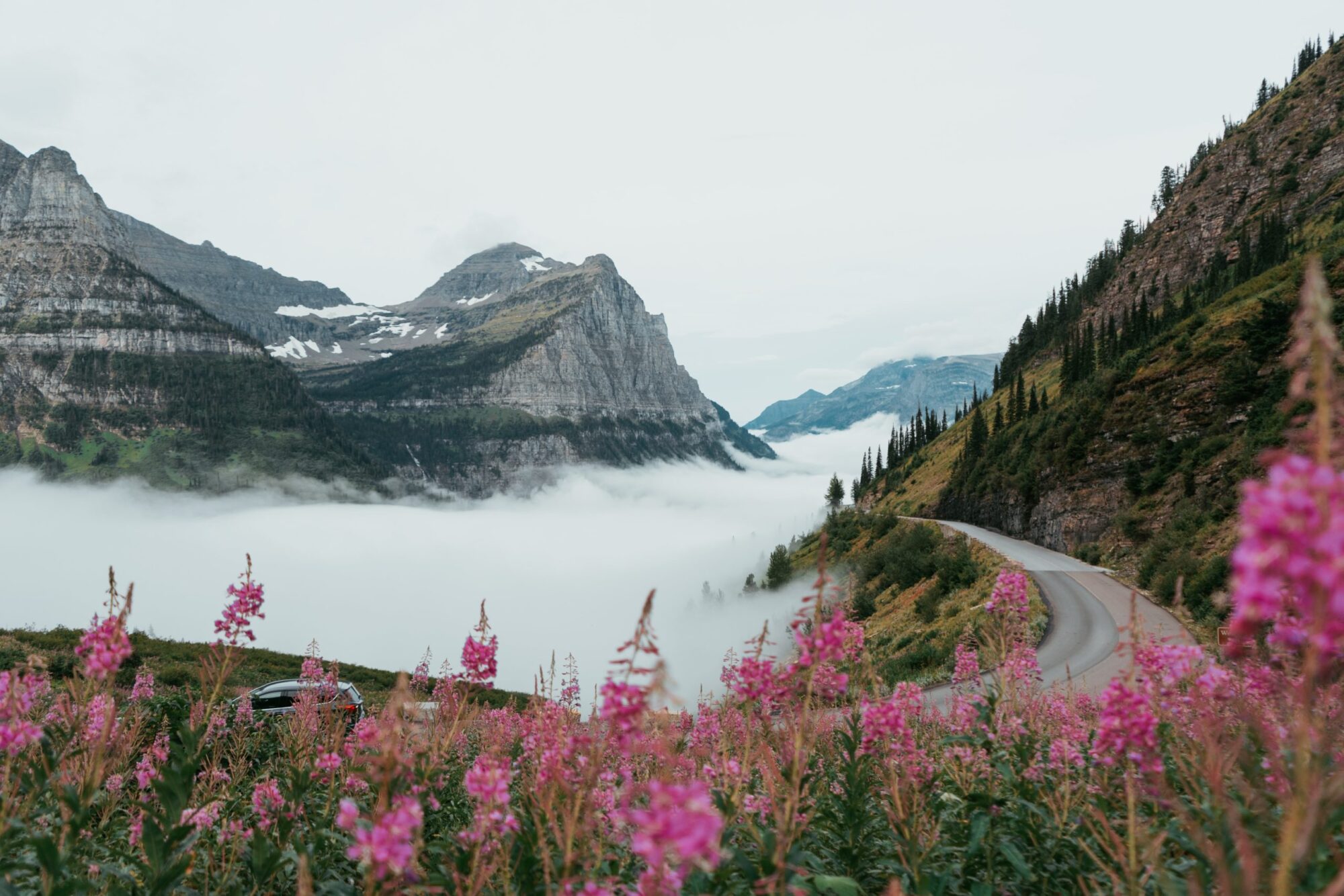 Flathead Valley Living: Why Everyone’s Making the Move header image.