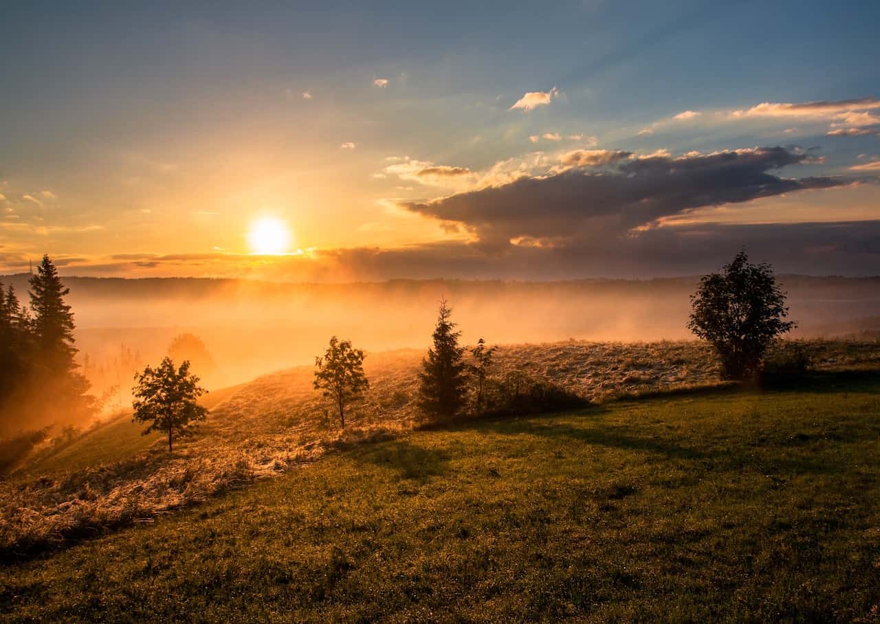 Stay in Your Lane, Win in Your Life header image.