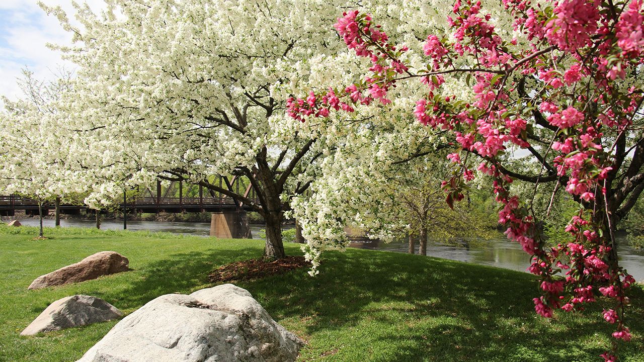 Spring in the Flathead Valley: Why Montana Comes Alive This Time of Year header image.