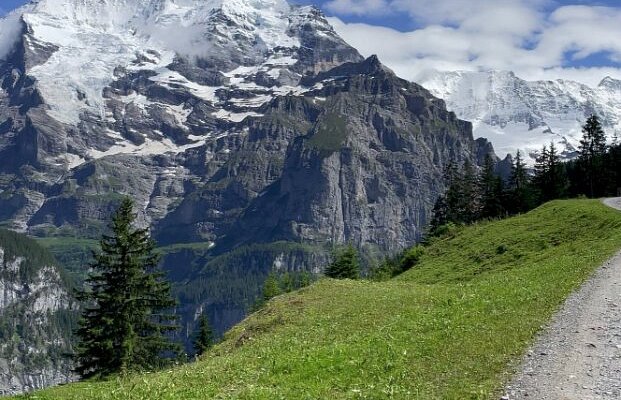 Trusting the Timing of Your Life header image.