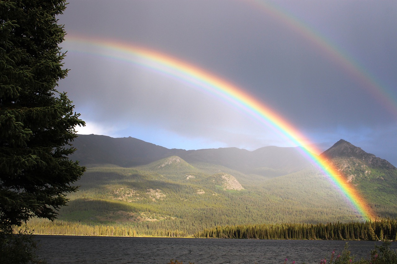 When the Answer Isn’t Clear: Trusting God, Patience, and Perfect Timing header image.