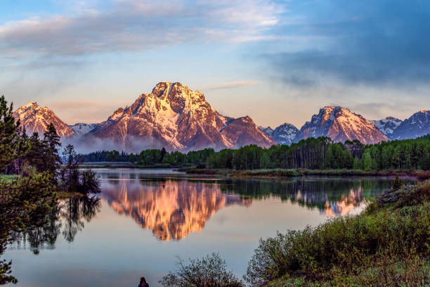 The Power of Consistency: Small Steps Create Big Success header image.
