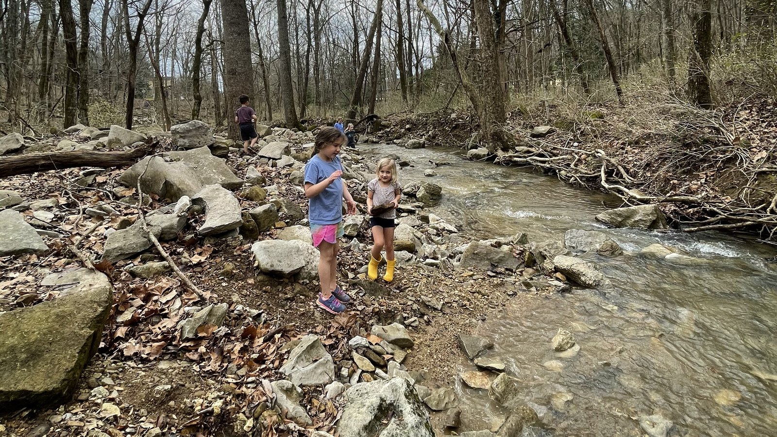 Children playing beside a wooded creek in the Blossomwood neighborhood of Huntsville, Alabama