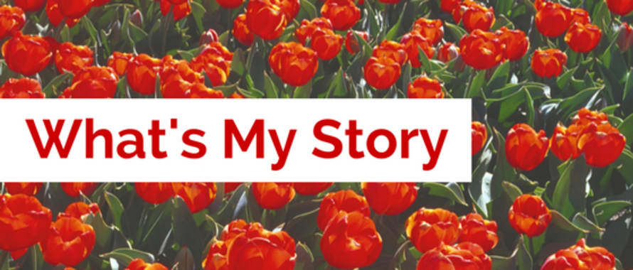 What's My Story? - by Michele Herndon header image.