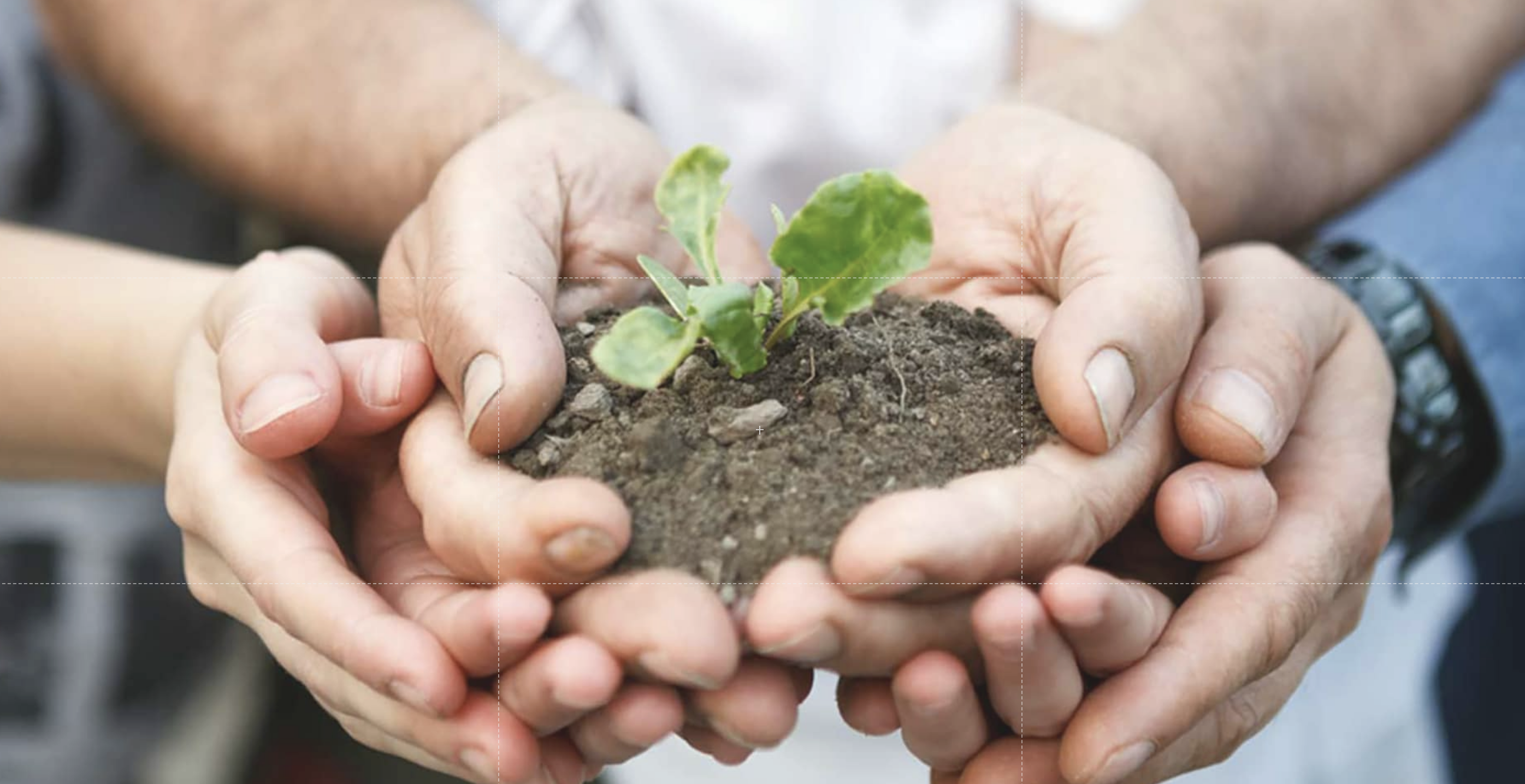 The Impact of Homeownership on Civic Involvement header image.