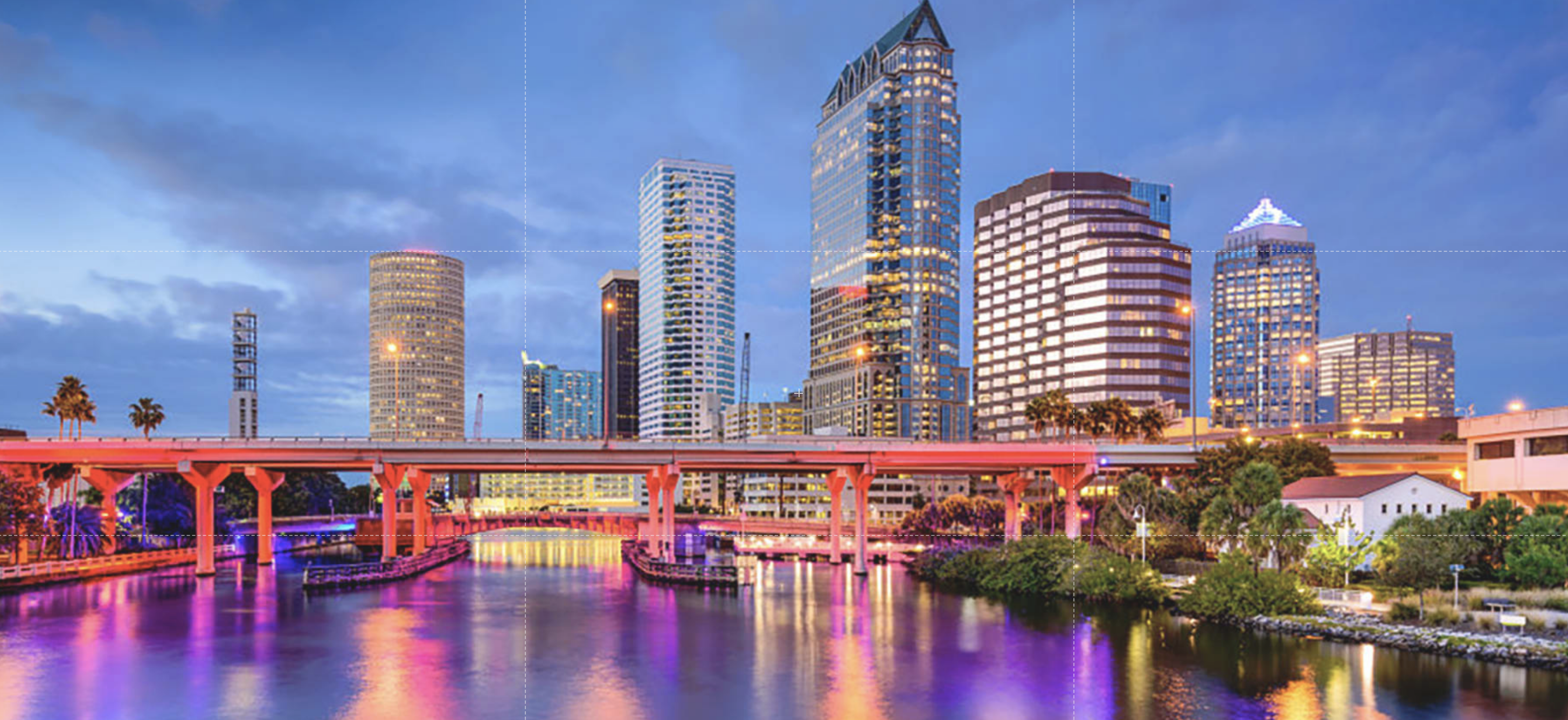 You Need a Professional on Your Team When Buying a Home header image.