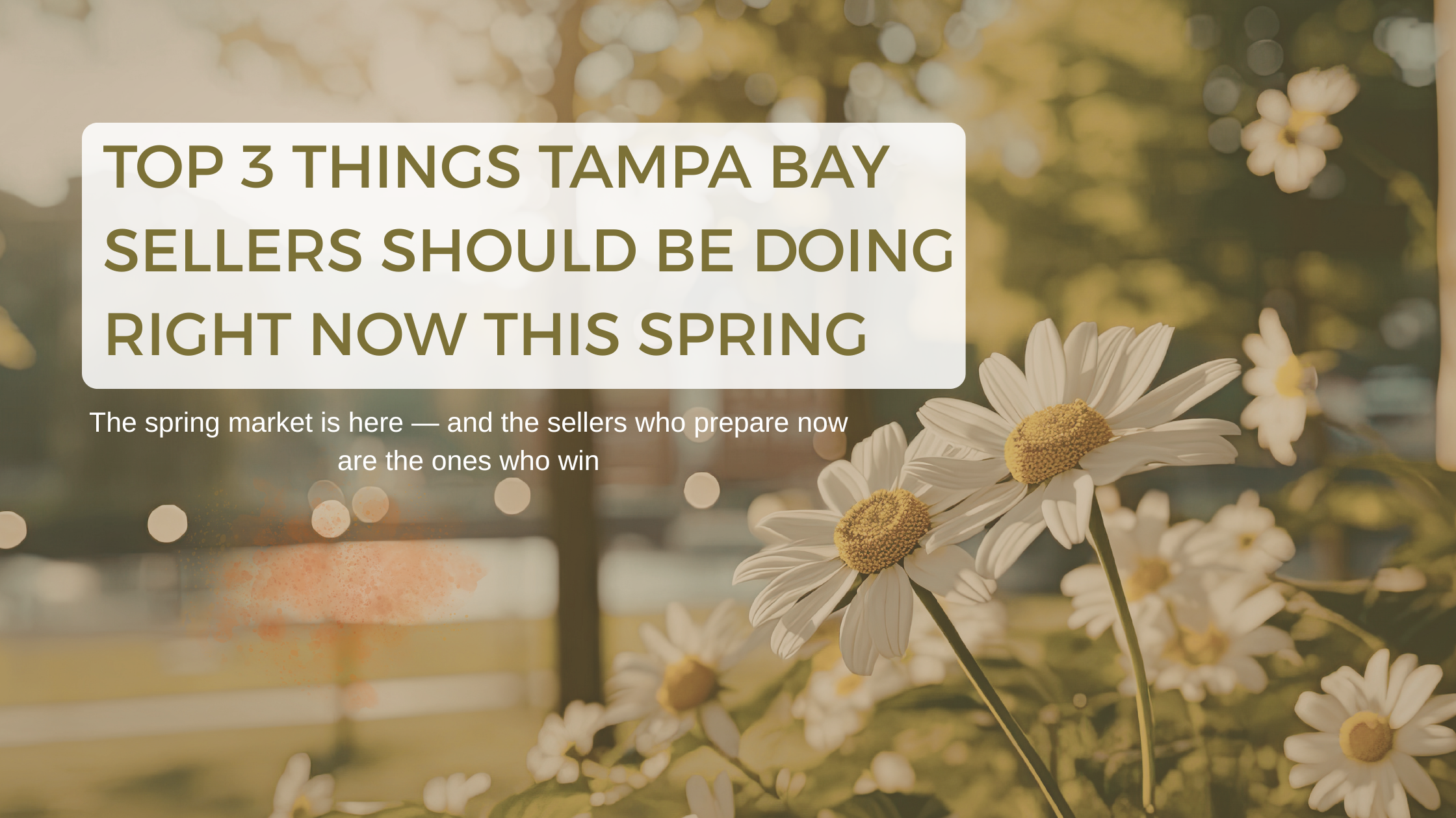 Top 3 Things Tampa Bay Sellers Should Be Doing Right Now This Spring